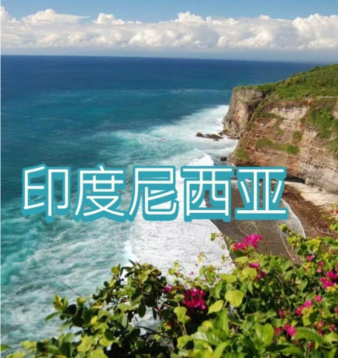 中国国际电商(印尼)产业博览会AG真人游戏第一品牌2025(图3) 中国国际电商(印尼)产业博览会AG真人游戏第一品牌2025(图3)