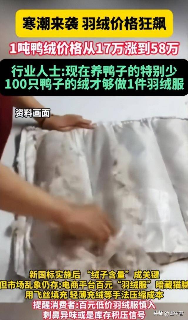 58万创新高低于500元的小心是假货AG真人平台羽绒服要涨价