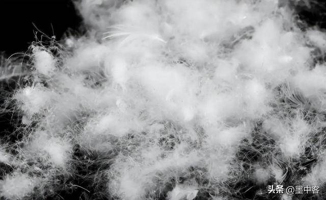 58万创新高低于500元的小心是假货AG真人平台羽绒服要涨价了！鸭绒每吨(图6)