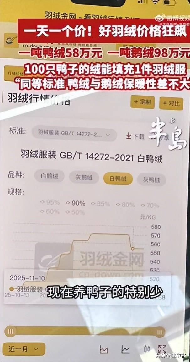 58万创新高低于500元的小心是假货AG真人平台羽绒服要涨价了！鸭绒每吨(图8)